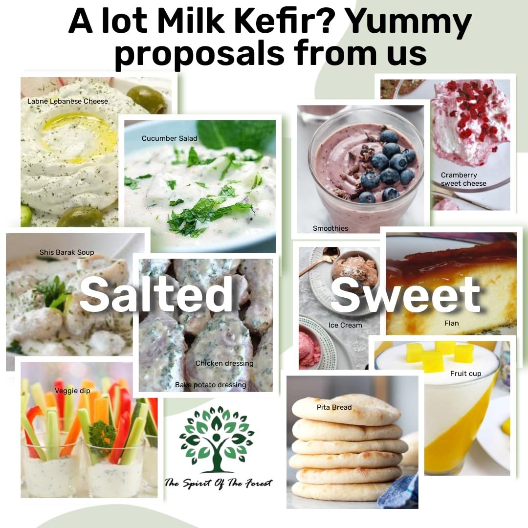 Kéfir de leche en polvo orgánico y original, listo sin mantenimiento de cultivos probióticos activos vivos para la salud Kefir Starter – Sin