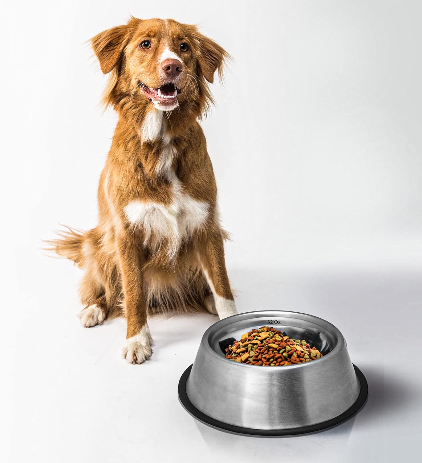 Cuenco de acero inoxidable para perros con medición de capacidad, grande, 64 onzas, marca de volumen, sin punta, plato antideslizante
