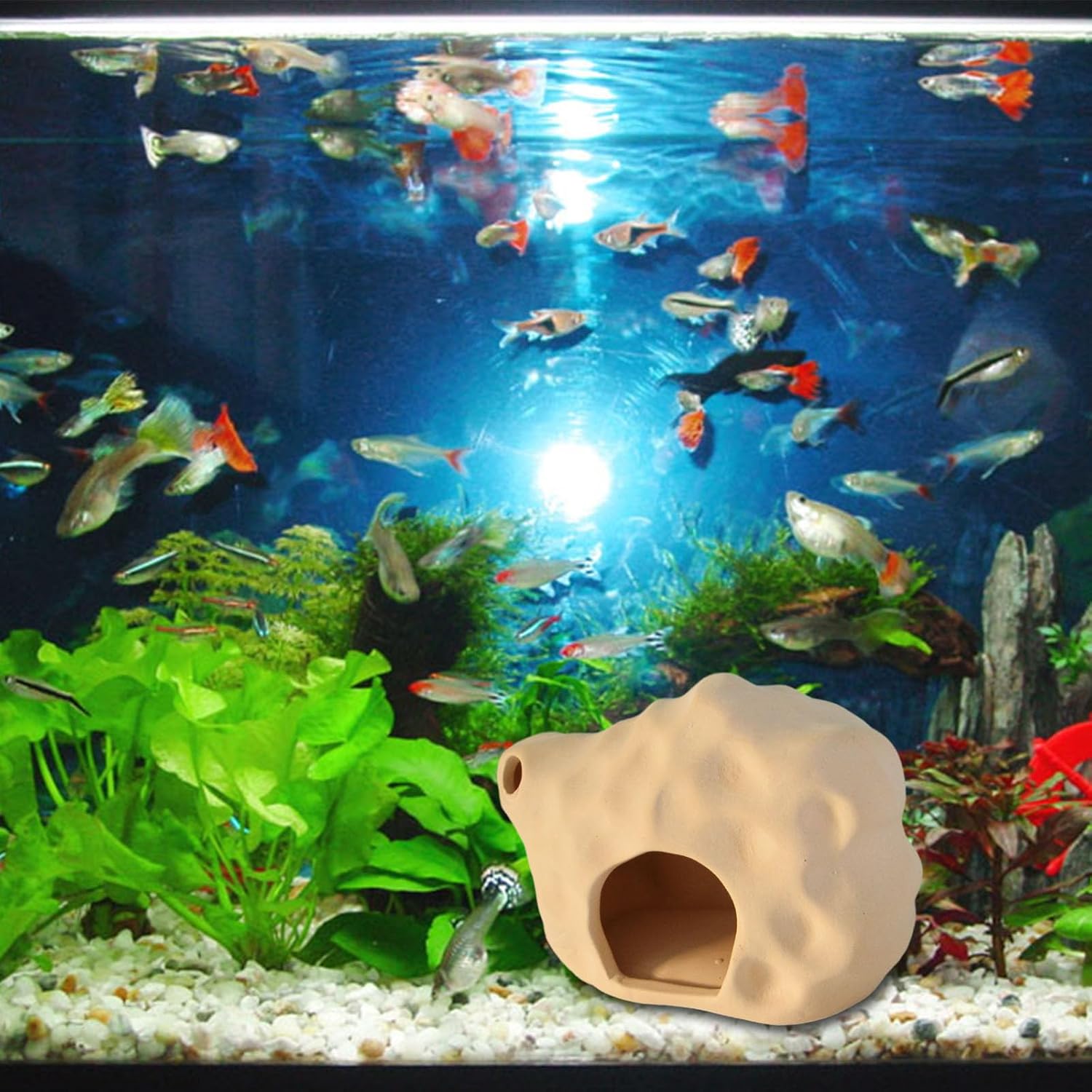 PENCK Acuario Betta Fish House Cerámica Coral Pequeño Camarón Escondite Cueva Fish Tank Decoración Accesorios Decoraciones para Cíclidos Acuáticos