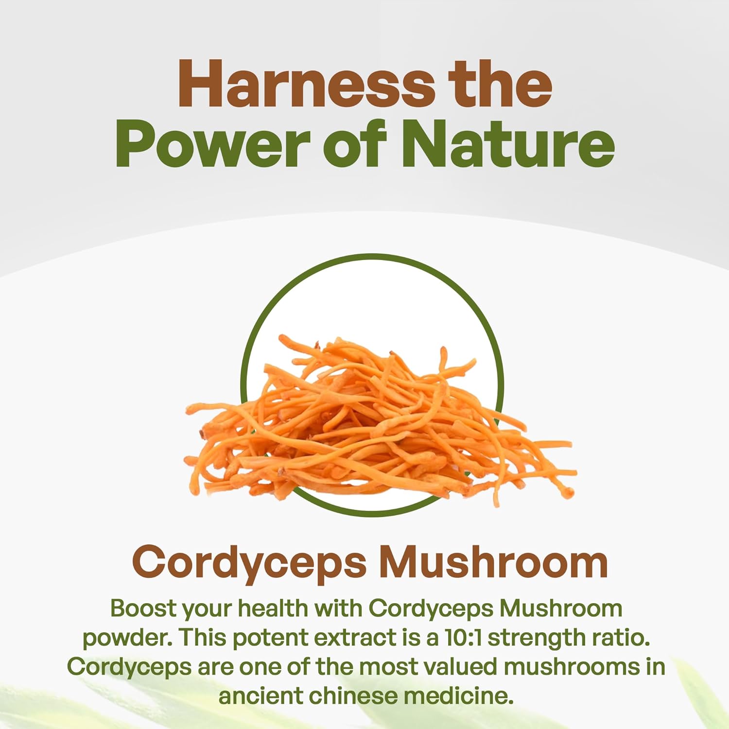 Go Nutra Cordyceps – Polvo de hongos  Extracto de Cordyceps al 30% de polisacáridos sin OMG puro Cordycep en polvo 4 onzas (3.99 oz)