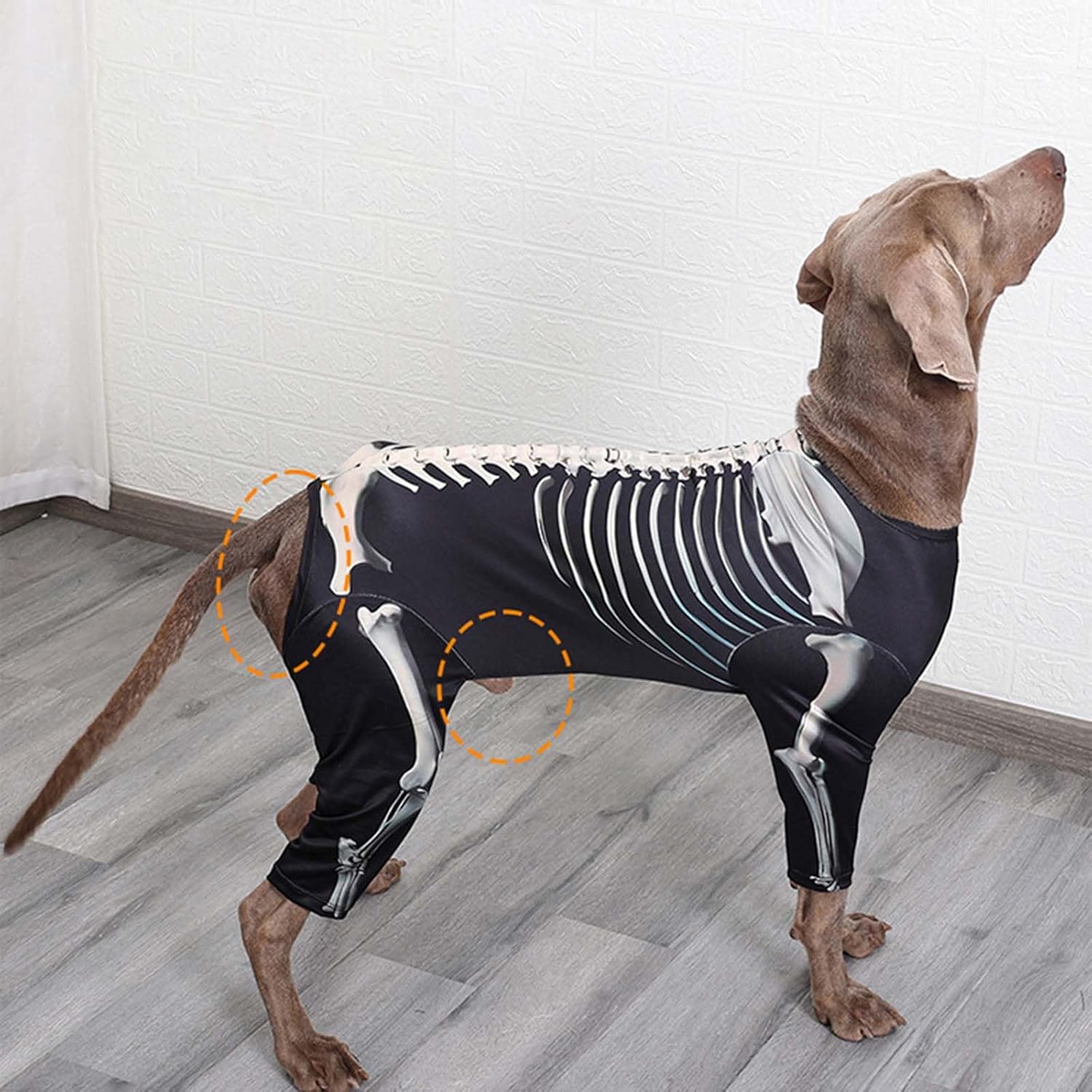 Disfraces de Halloween para perro, disfraz de Halloween para mascotas para perros y gatos, disfraz de esqueleto de Halloween para perro, ropa,