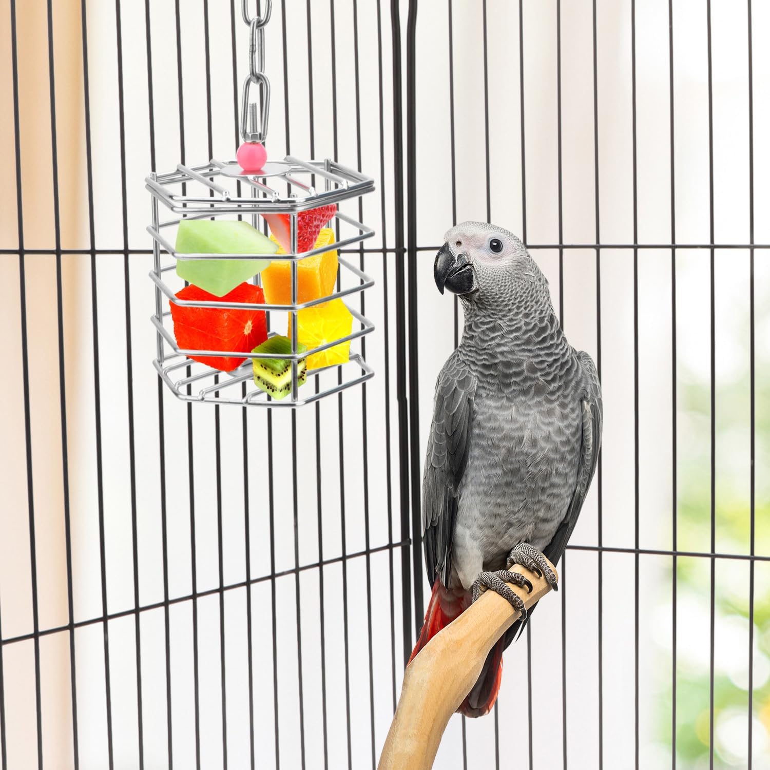 Alimentador de forraje de acero inoxidable para pájaros, caja de alimentación colgante para guacamayo, cacatúa gris africana, cacatúa, jaula de
