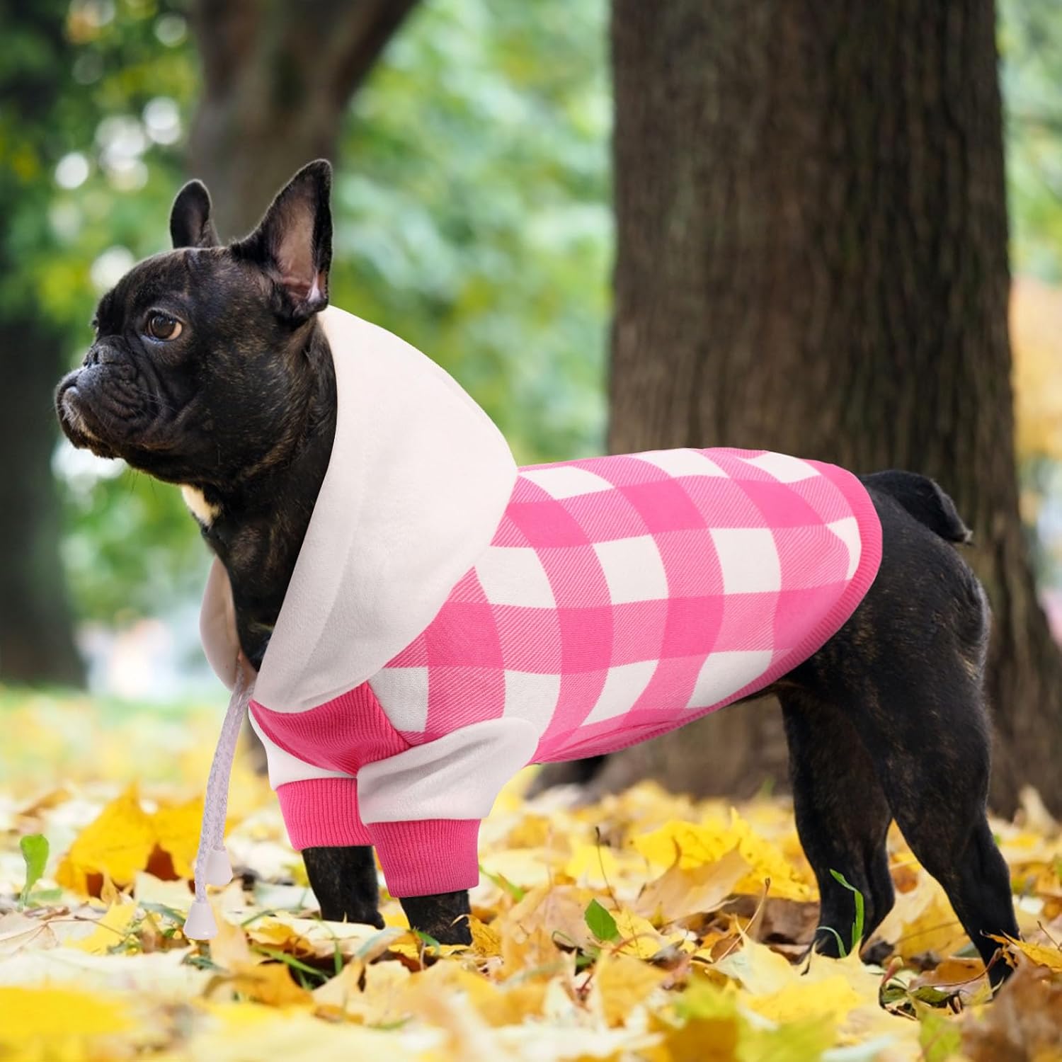 Sudadera con capucha a cuadros para perro, sudadera suave para perro, sudaderas con capucha de forro polar cálido para perros pequeños, suéteres con