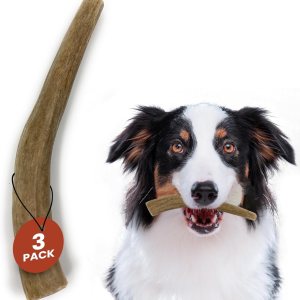 Heartland Cuernos de ciervo para perros Grado A, cuernos de desprendimiento natural Huesos de perro para masticadores agresivos y cachorros de Heartland Cuernos de ciervo para perros Grado A, cuernos de desprendimiento natural Huesos de perro para masticadores agresivos y cachorros de