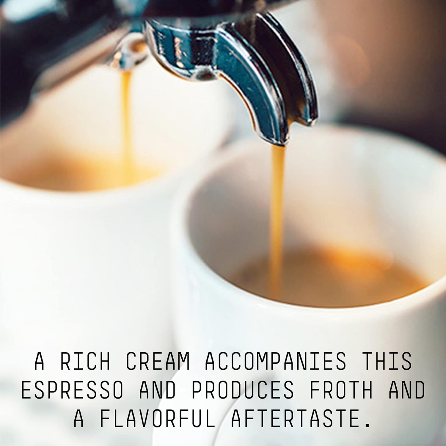 KNEE BUCKLING ESPRESSO