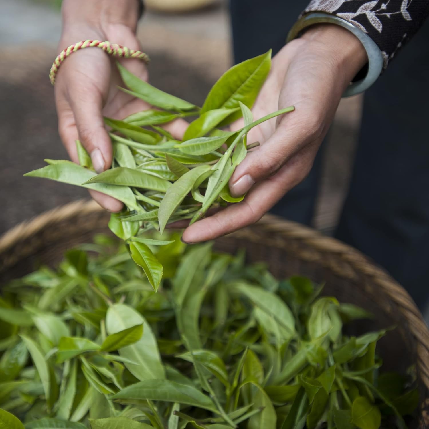 Palais des Thés – Té negro orgánico de desintoxicación india para digestión con cúrcuma, albahaca sagrada y limón – Lata de regalo de metal de hoja