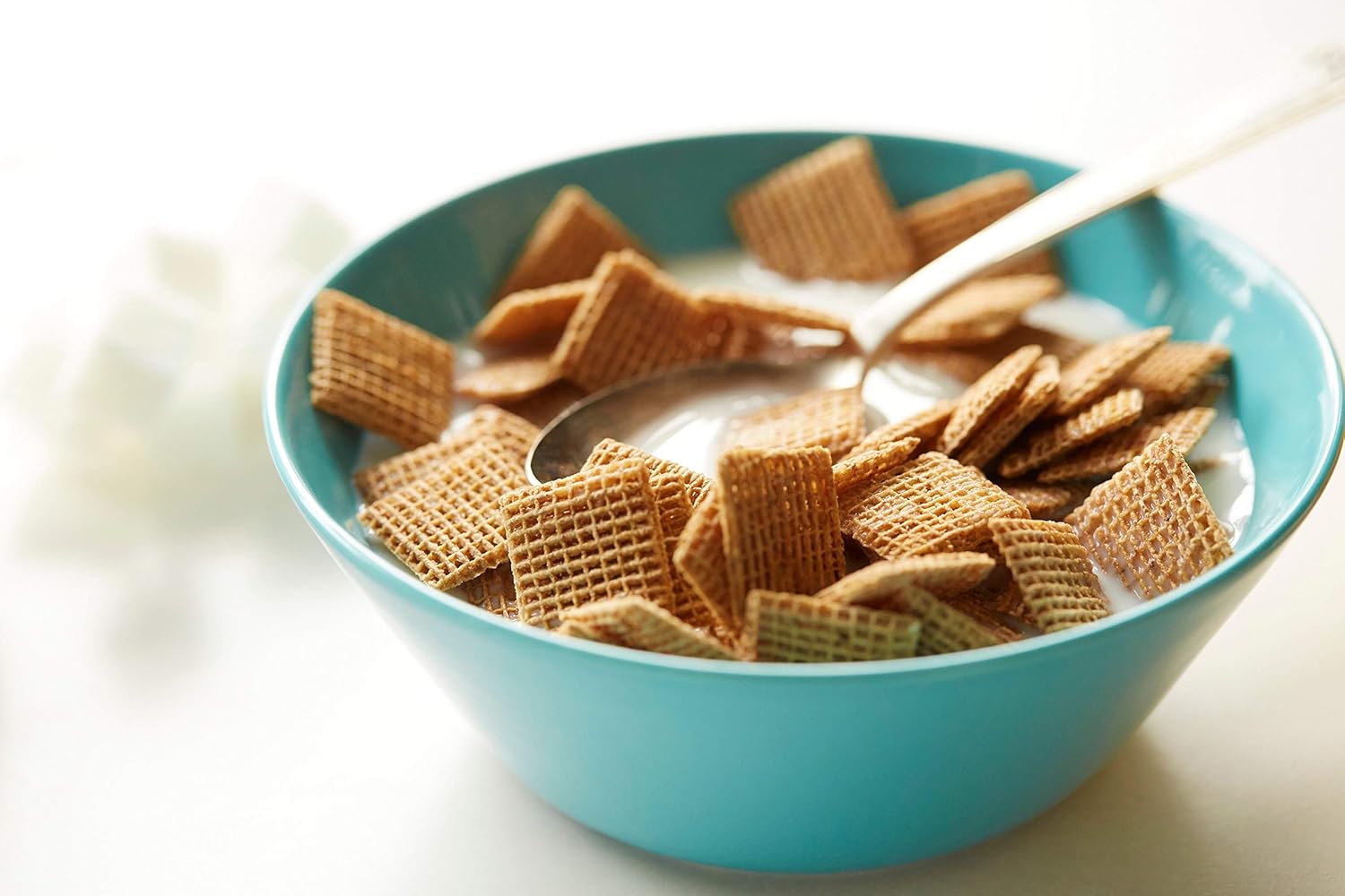 SHREDDIES DE MIEL TAMAÑO FAMILIAR 710GR Importado de Canadá