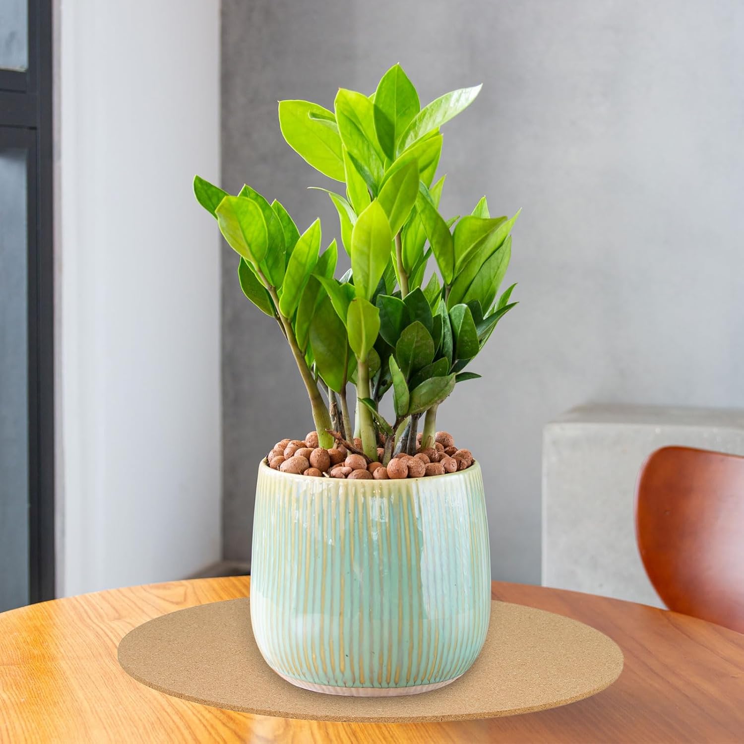 PATIKIL Posavasos de corcho de 10 pulgadas, paquete de 4 platillos redondos de corcho absorbente para plantas de jardinería, mesa de comedor, ollas