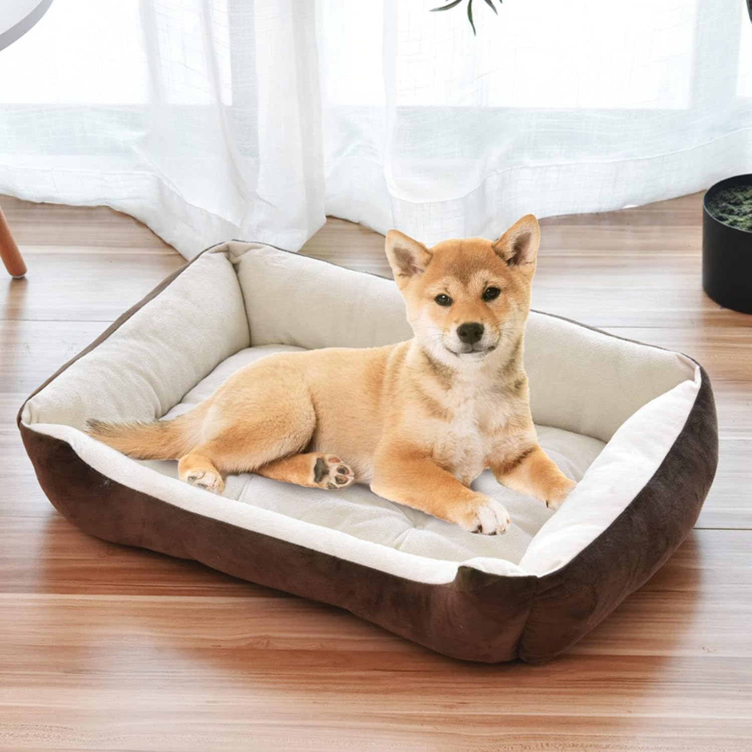 SENNAUX Camas rectangulares para perros pequeños, cama lavable para mascotas, colchón cómodo para mascotas con parte inferior antideslizante para