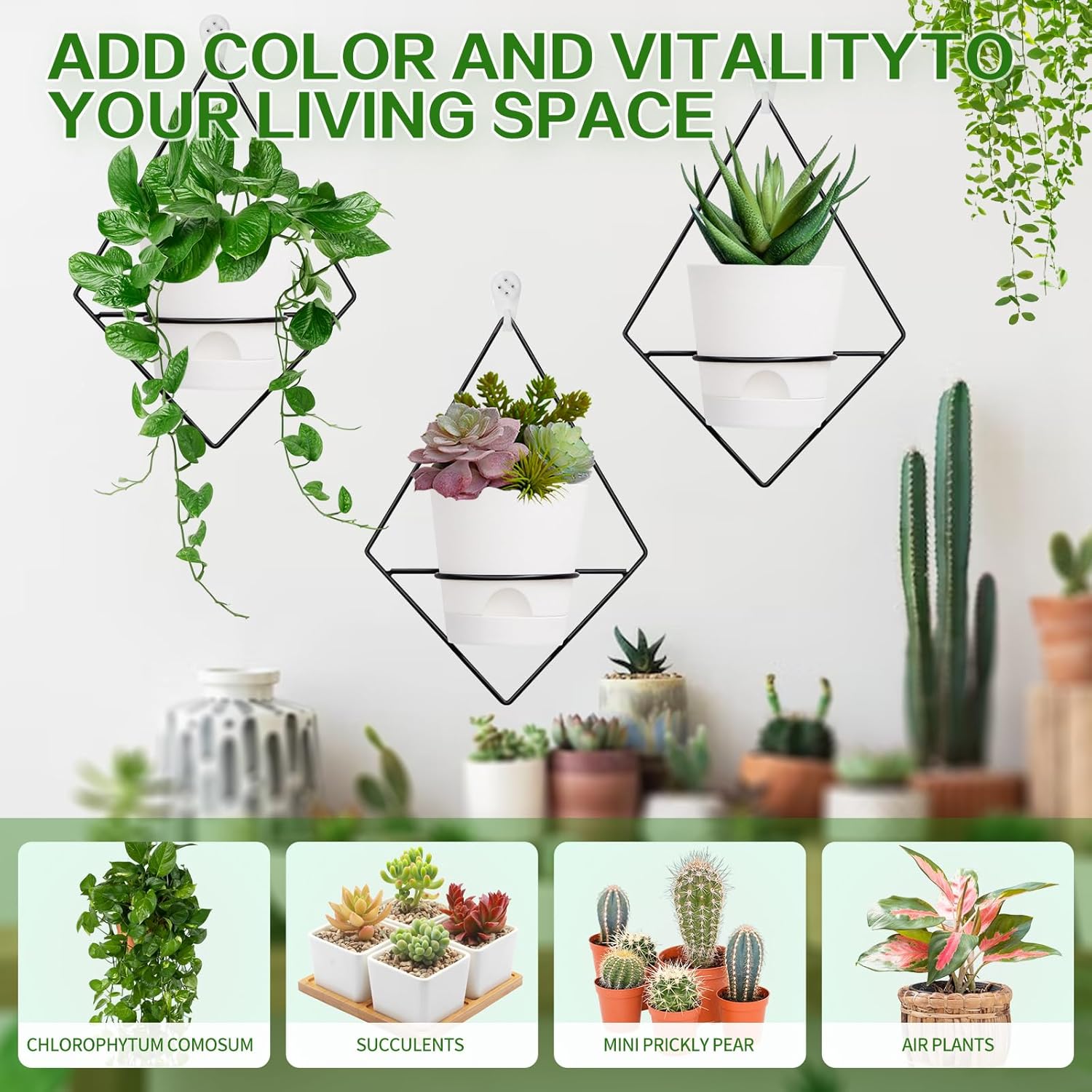 3 juegos de macetas de pared para plantas de interior, maceta colgante de pared con soporte de metal negro, macetas geométricas de pared con riego