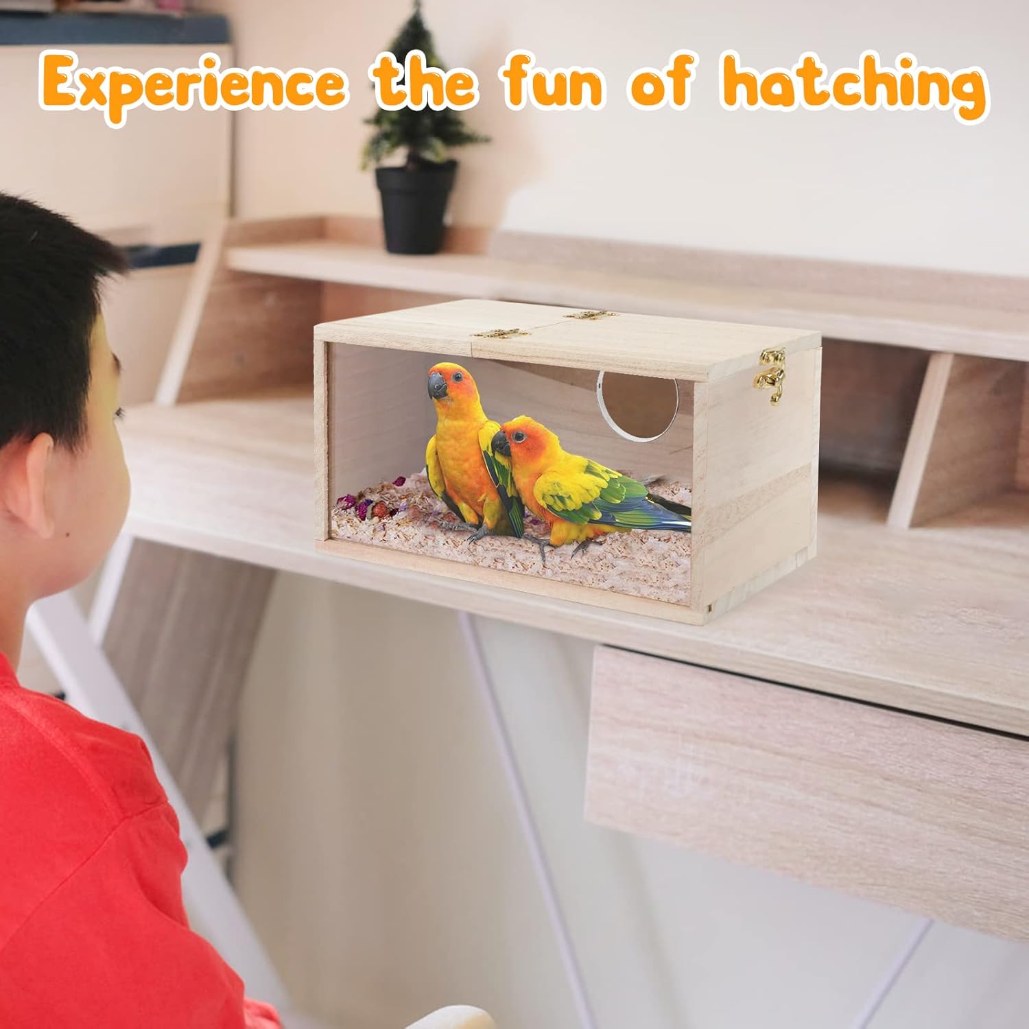 Rypet Caja de nido de periquitos con diseño transparente, caja de cría de nido de pájaros con perca de madera para pájaros de cacatúa, agapornis,