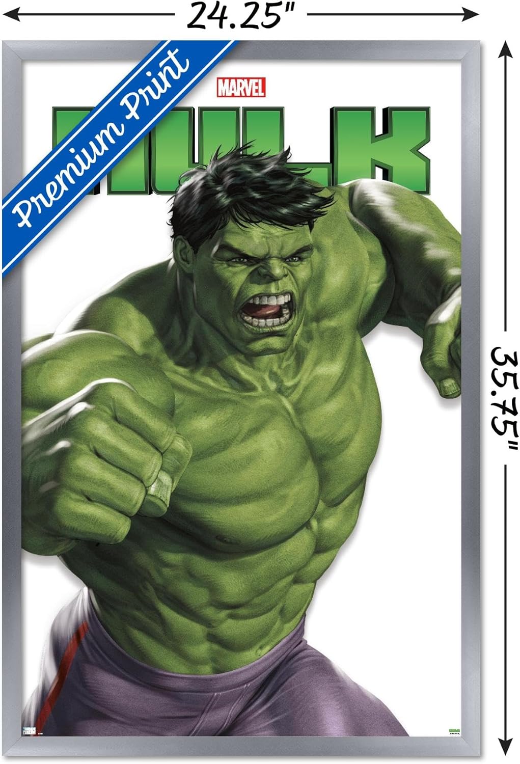 Trends International Marvel Comics – Póster de pared de la serie de características de Hulk, 22.37 x 34.00 pulgadas, versión enmarcada plateada