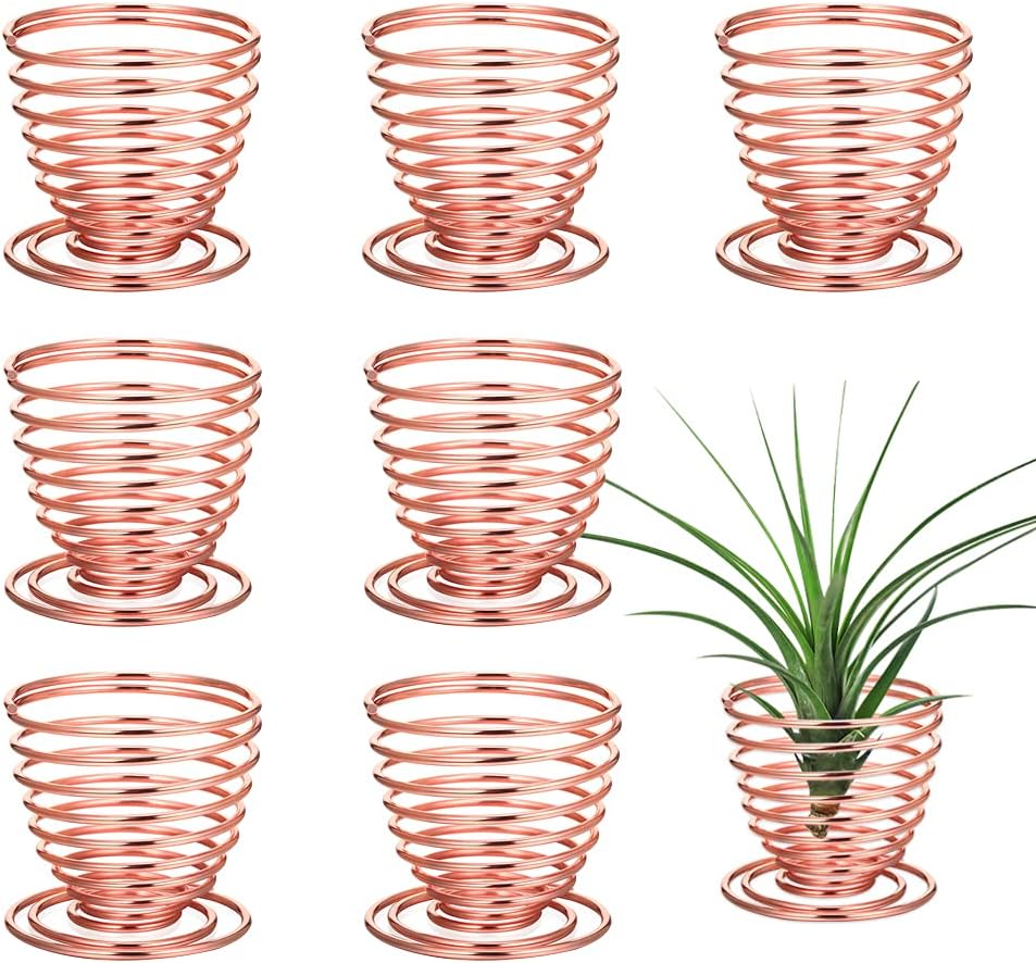 LIYI Soporte para plantas de aire, 8 unidades, contenedor de acero inoxidable para plantas de aire, estantes de exhibición para decoración del