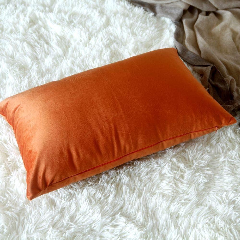 Artcest – Juego de 2 fundas de terciopelo para cojines decorativos, fundas para cojines decorativos sólidos para sofá y cama