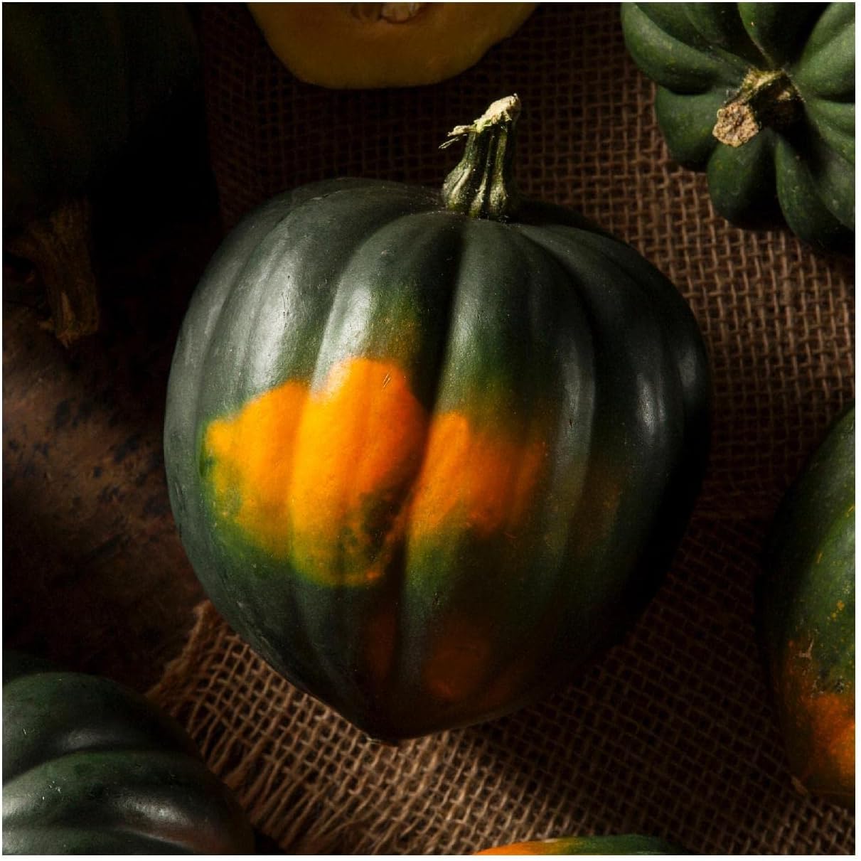 Everwilde Farms – 20 semillas orgánicas de calabaza de invierno de bellota King – Paquete Gold Vault