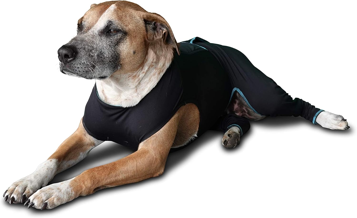 BENEFAB Traje terapéutico cómodo para perros, chaqueta ligera de infrarrojos lejanos para caninos de todas las edades, traje de compresión relajante