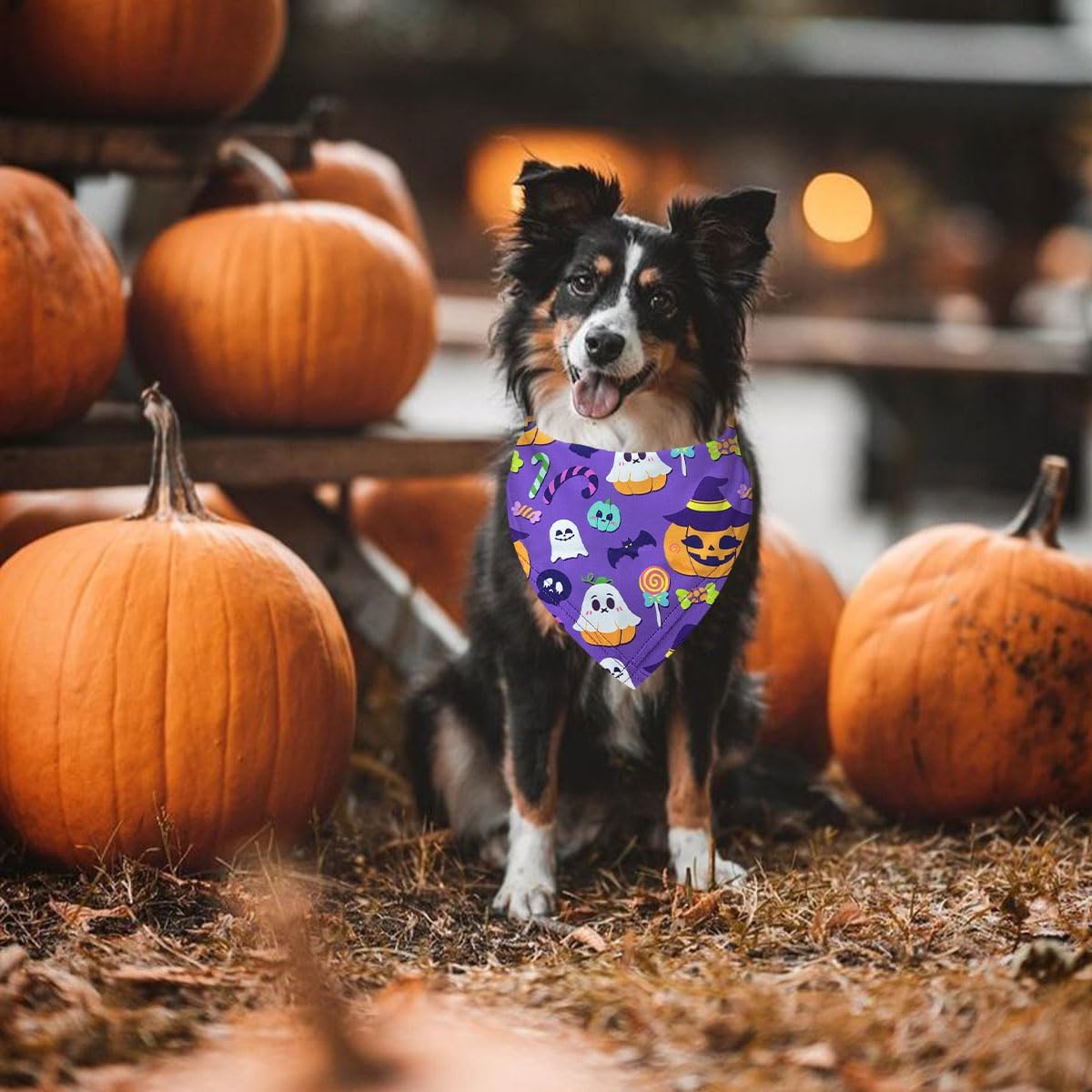 Bandanas de Halloween para perro, paquete de 2 múltiples patrones adorables con temática de Halloween, bufanda de tela duradera para mascotas,