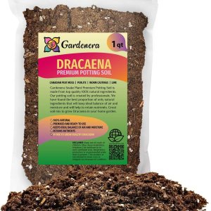 GARDENERA Mezcla de suelo Dracaena prémium  1 cuarto de galón  Mezcla para macetas formulada por expertos para árboles y arbustos Dracaena prósperos GARDENERA Mezcla de suelo Dracaena prémium  1 cuarto de galón  Mezcla para macetas formulada por expertos para árboles y arbustos Dracaena prósperos
