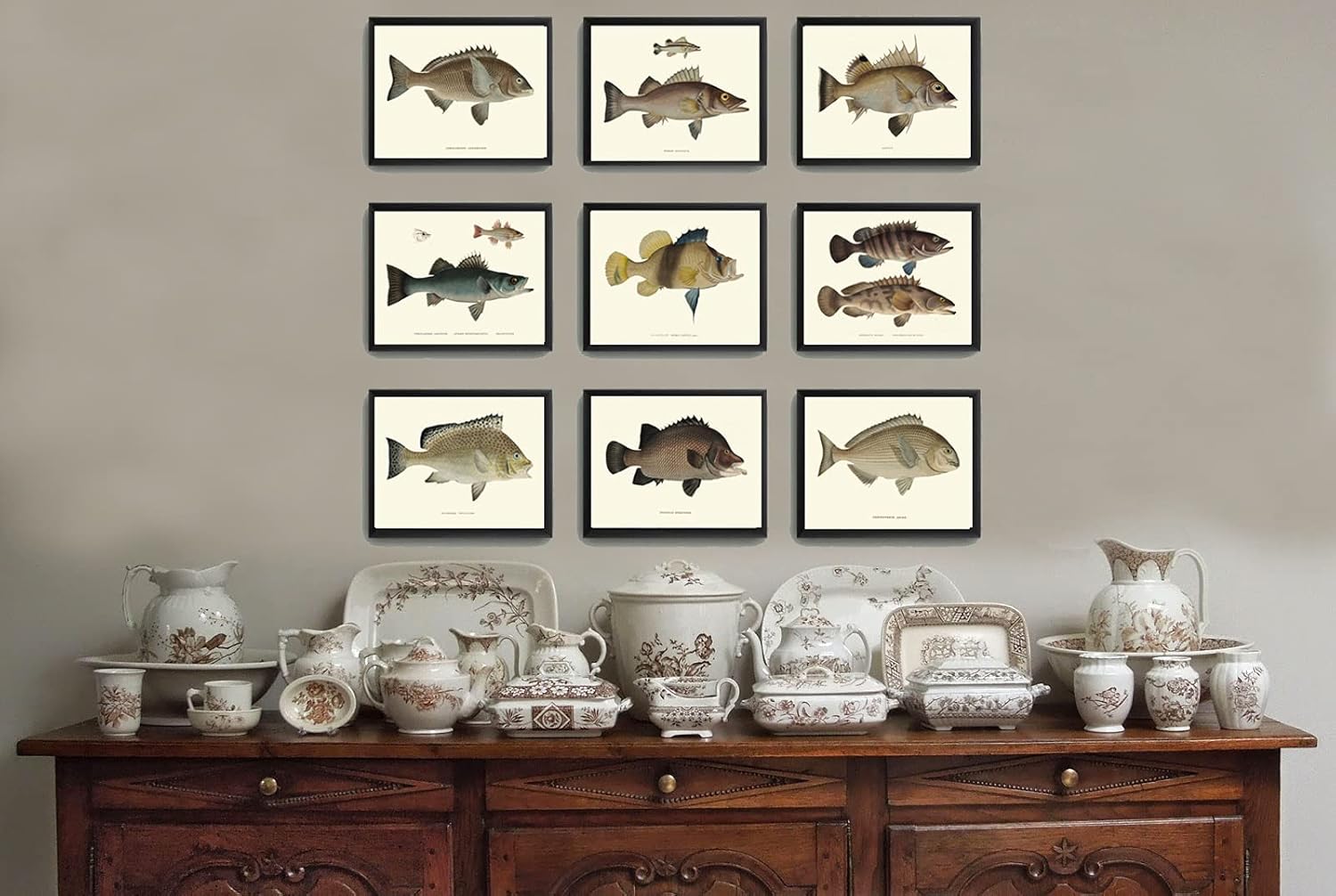 Fish Wall Art Print Set of 9 Prints Beautiful Vintage Antique Lake River Cottage Farmhouse Home Room Decor Wall Art Unframed Fj (8×10)