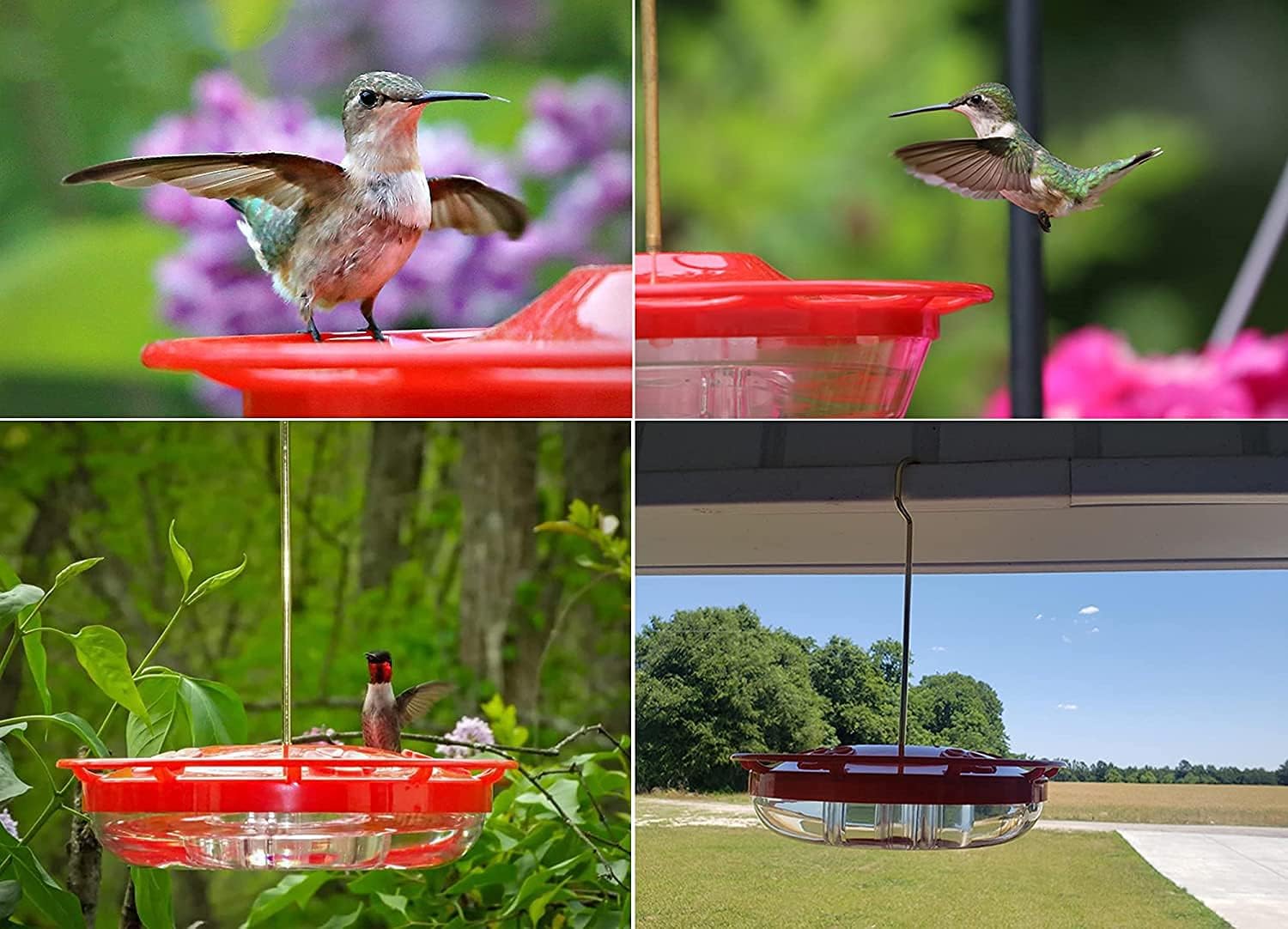 Comedero para colibríes a prueba de abejas con protector de foso de hormigas, comedero rojo para colibríes para colgar al aire libre, sin fugas,