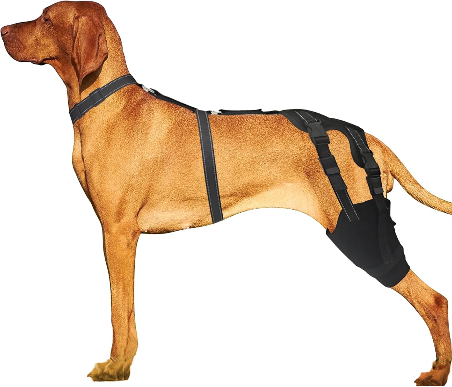 PLKO Rodillera para perro con estabilizadores laterales, soporte para ACL, luxación de la rodillera, artritis, calidez, estabilidad y alivio del