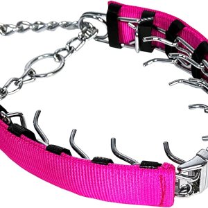 Collar de cadena para perro, con diseño de hebilla de seguridad, masticable duradero de acero inoxidable para perros pequeños, medianos y grandes Collar de cadena para perro, con diseño de hebilla de seguridad, masticable duradero de acero inoxidable para perros pequeños, medianos y grandes