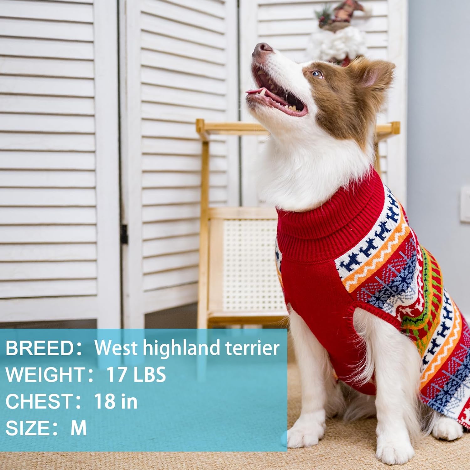 Mihachi Suéter para perro – Abrigo de invierno Ropa con rayas coloridas para clima frío