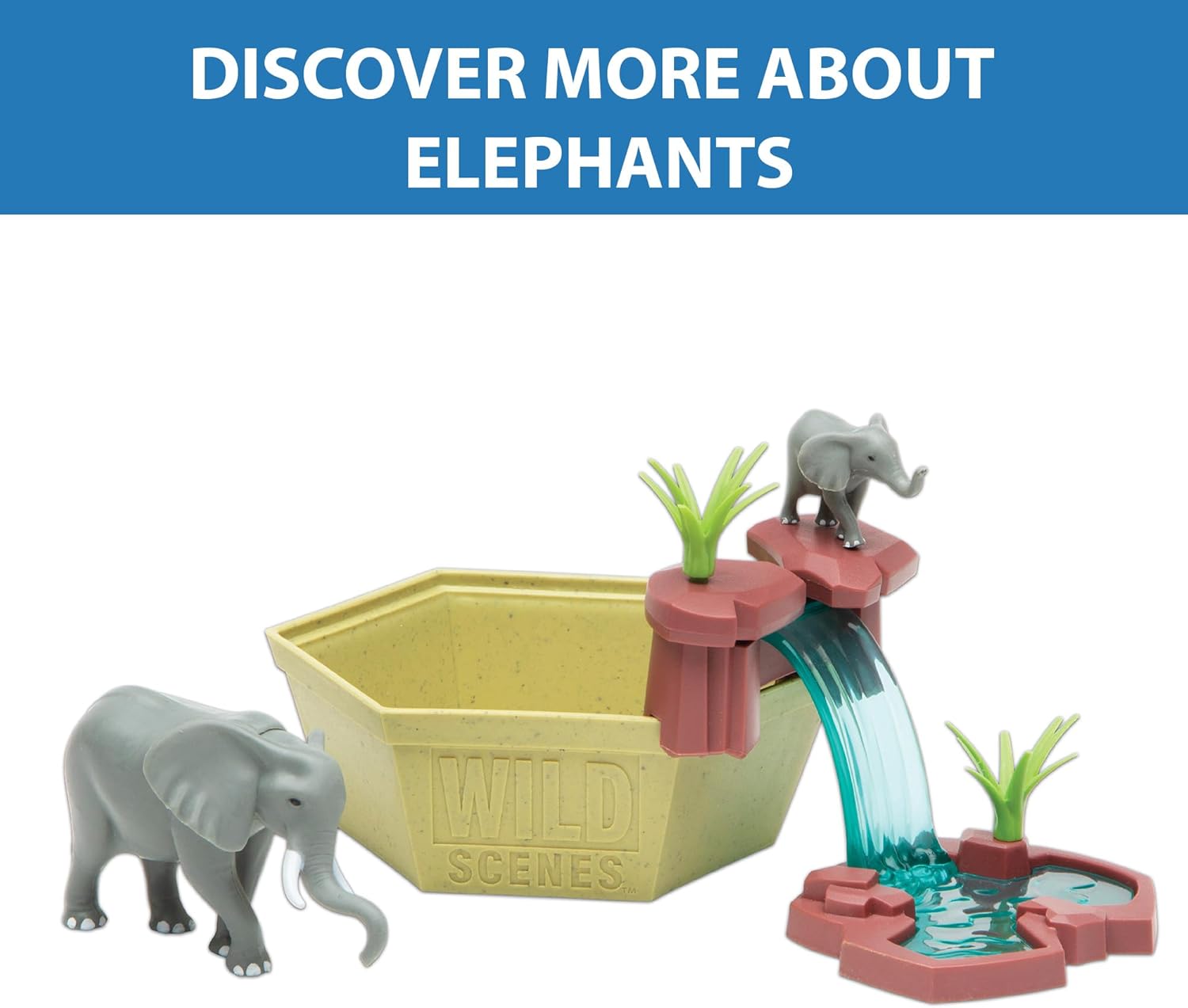 Wild Scenes Elephants’ Watering Hole – Kit de cultivo y juego respetuoso con el medio ambiente, juguete de conservación de vida silvestre, juego de
