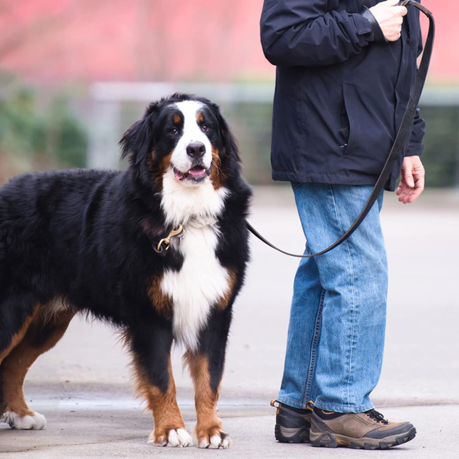 Correa de cuero para perro de 6 pies x 58 pulgadas, correa de cuero genuino trenzada fuerte y resistente, correa de cuero suave y cómoda para perros