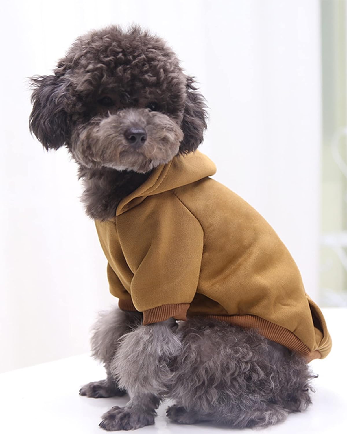 Abrigos de invierno para perros pequeños, sudadera con capucha para perros pequeños, ropa de chihuahua, ropa de bulldog francés, ropa para perros