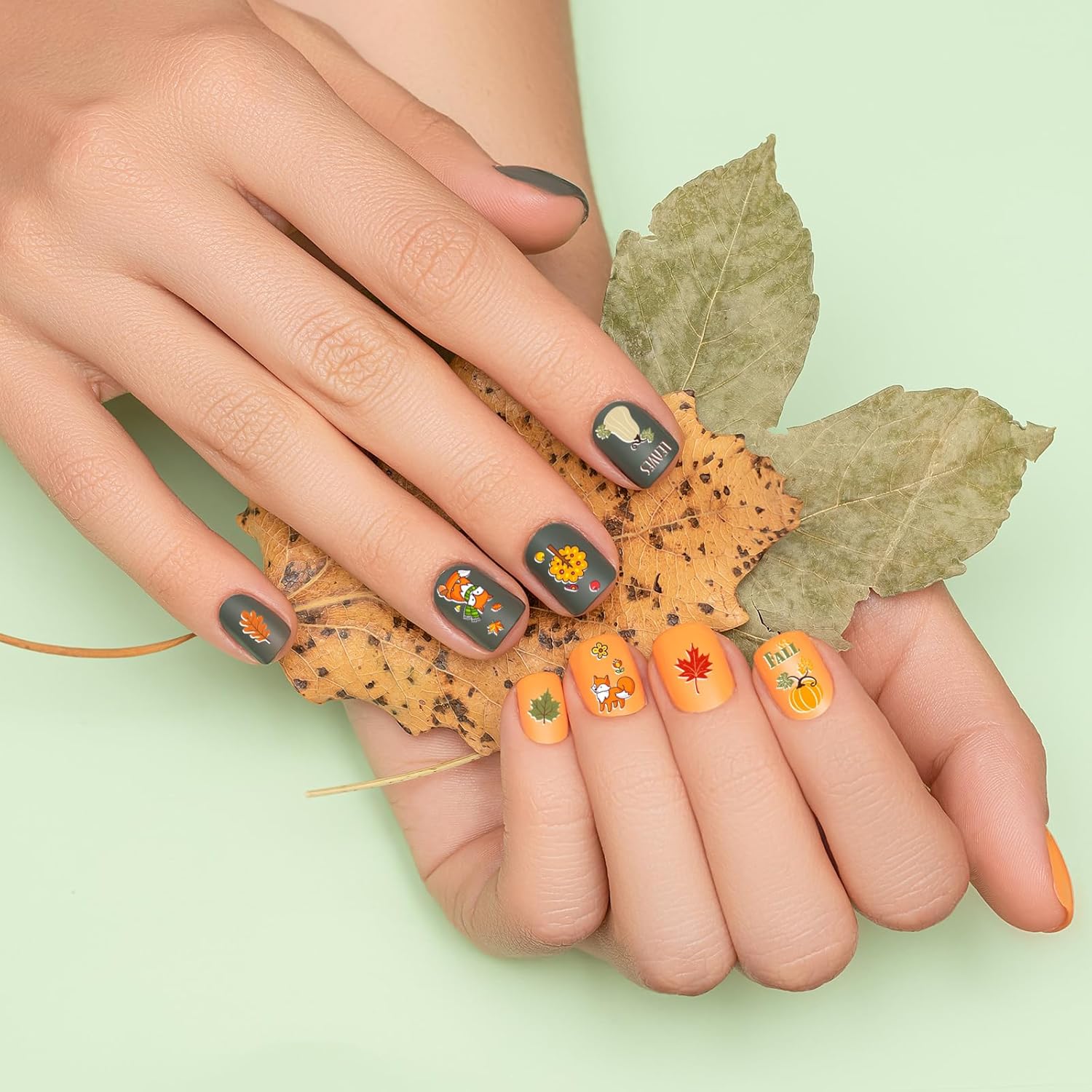 Whaline Kit de 10 hojas de placas de estampado de arte de uñas de otoño, calabazas de Feliz Acción de Gracias, gnomo de hoja de arce, a cuadros,