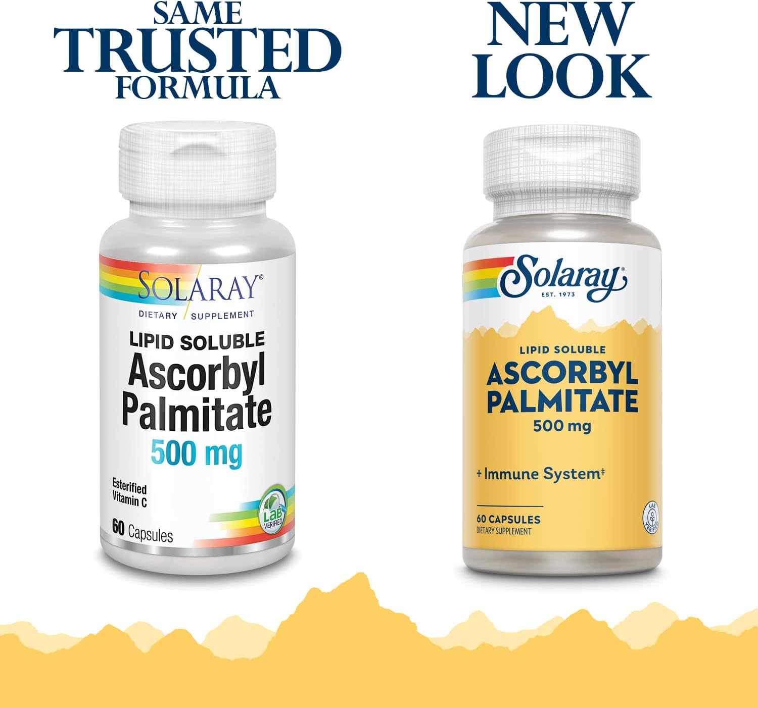 SOLARAY Palmitato de ascorbilo Vitamina C 500mg  Antioxidante, función inmunológica, apoyo para la salud ósea, articular y nerviosa  60 cápsulas