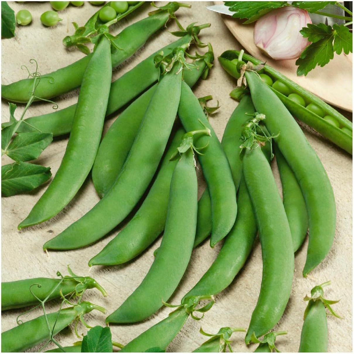 Everwilde Farms – 75 semillas de guisantes orgánicos Sugar Daddy – Paquete Gold Vault