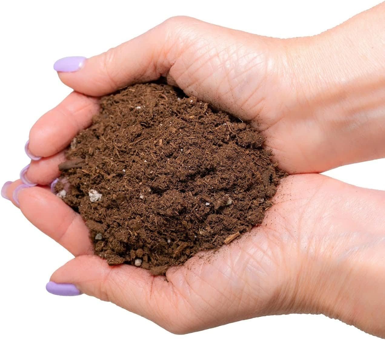 GARDENERA Mezcla para macetas purificadora de aire, 1 cuarto de galón, tierra para macetas para potos, palmeras de salón y lirio de la paz, hecha