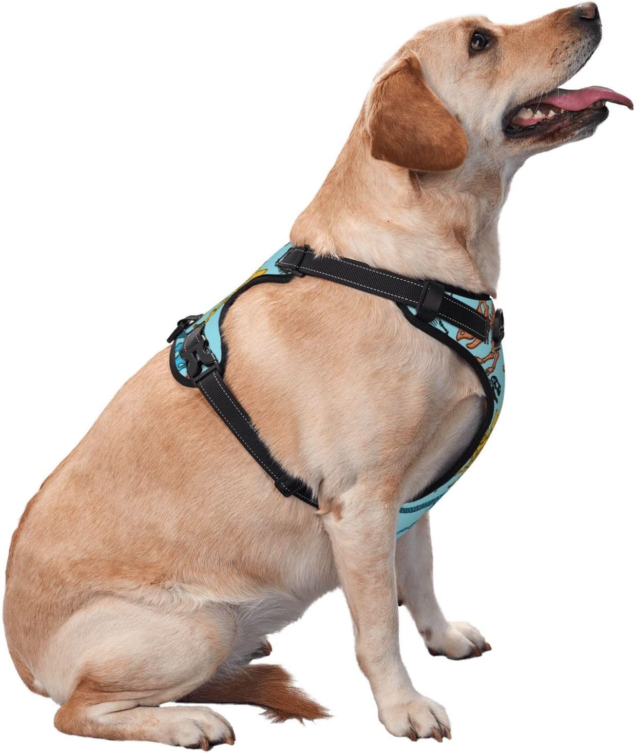 Arnés sin tirones para perro, diseño de dinosaurios, esqueleto de dibujos animados, arnés para mascotas con correa, ajustable, reflectante,