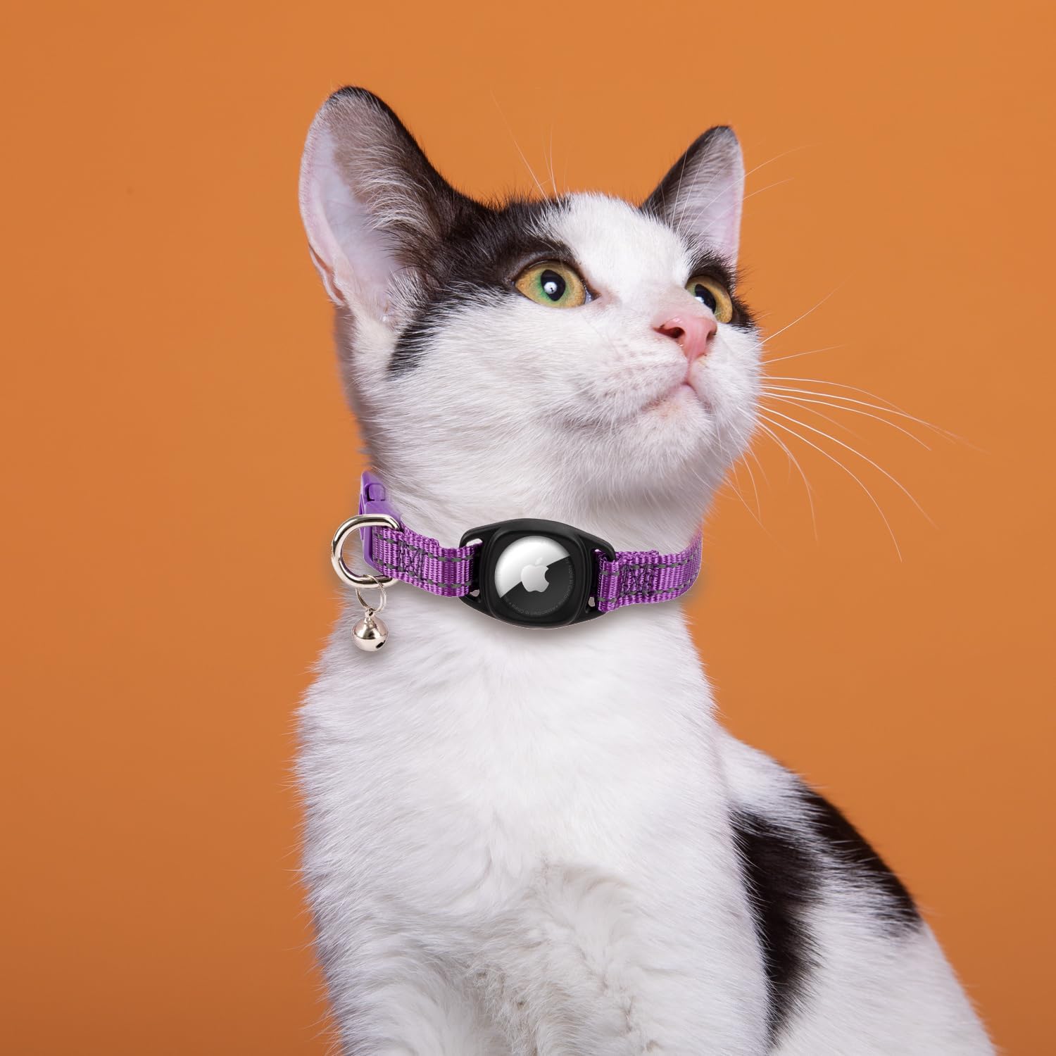 DALUZ Collar reflectante para gatos Airtag, collar de nailon duradero con GPS integrado con soporte Airtag y campana, collar Airtag para gato con