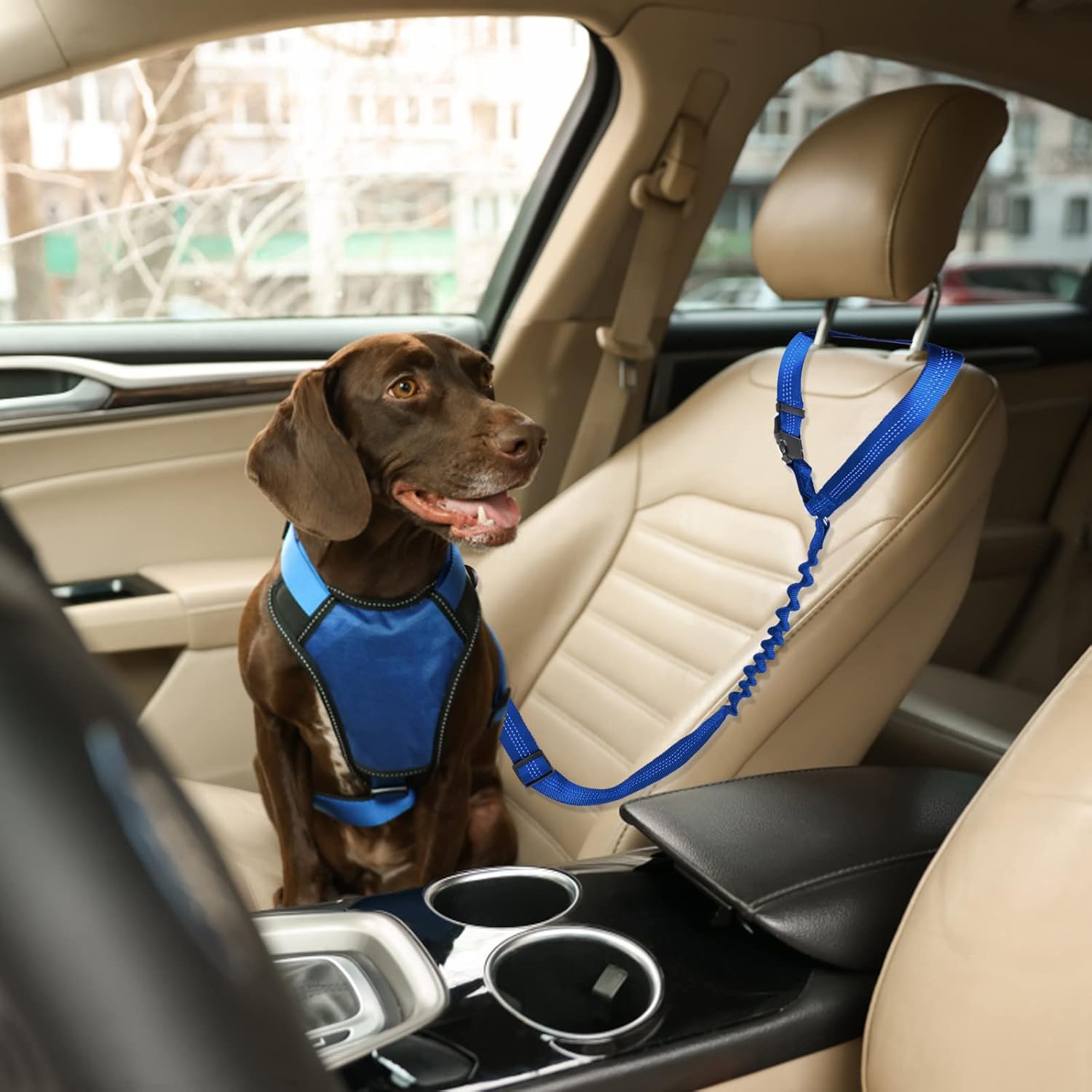 Cinturones de seguridad para perros para automóvil, cinturón de seguridad ajustable de nailon para perro, arnés de seguridad fuerte para automóvil