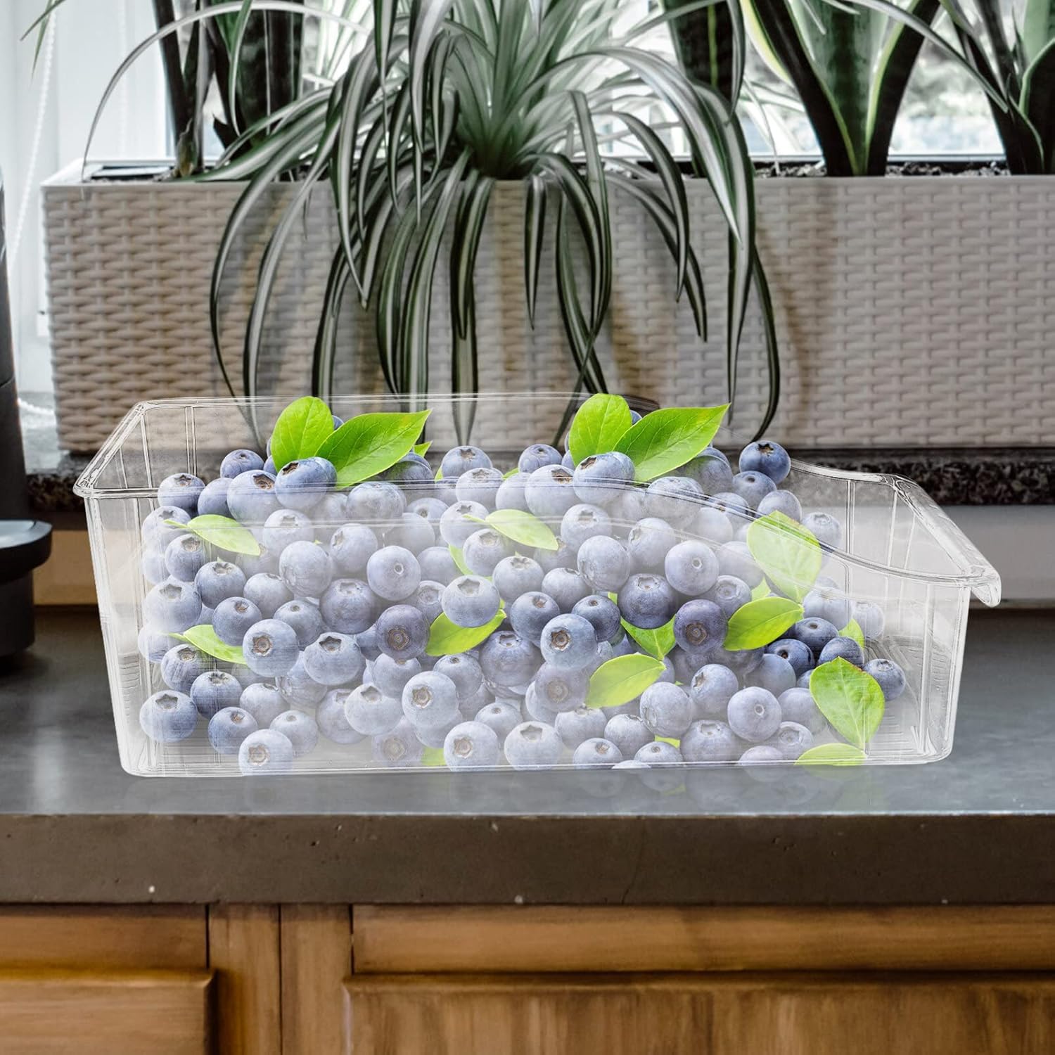 Alipis Contenedor organizador de refrigerador, contenedor de plástico transparente para refrigerador, caja de almacenamiento de frutas y verduras