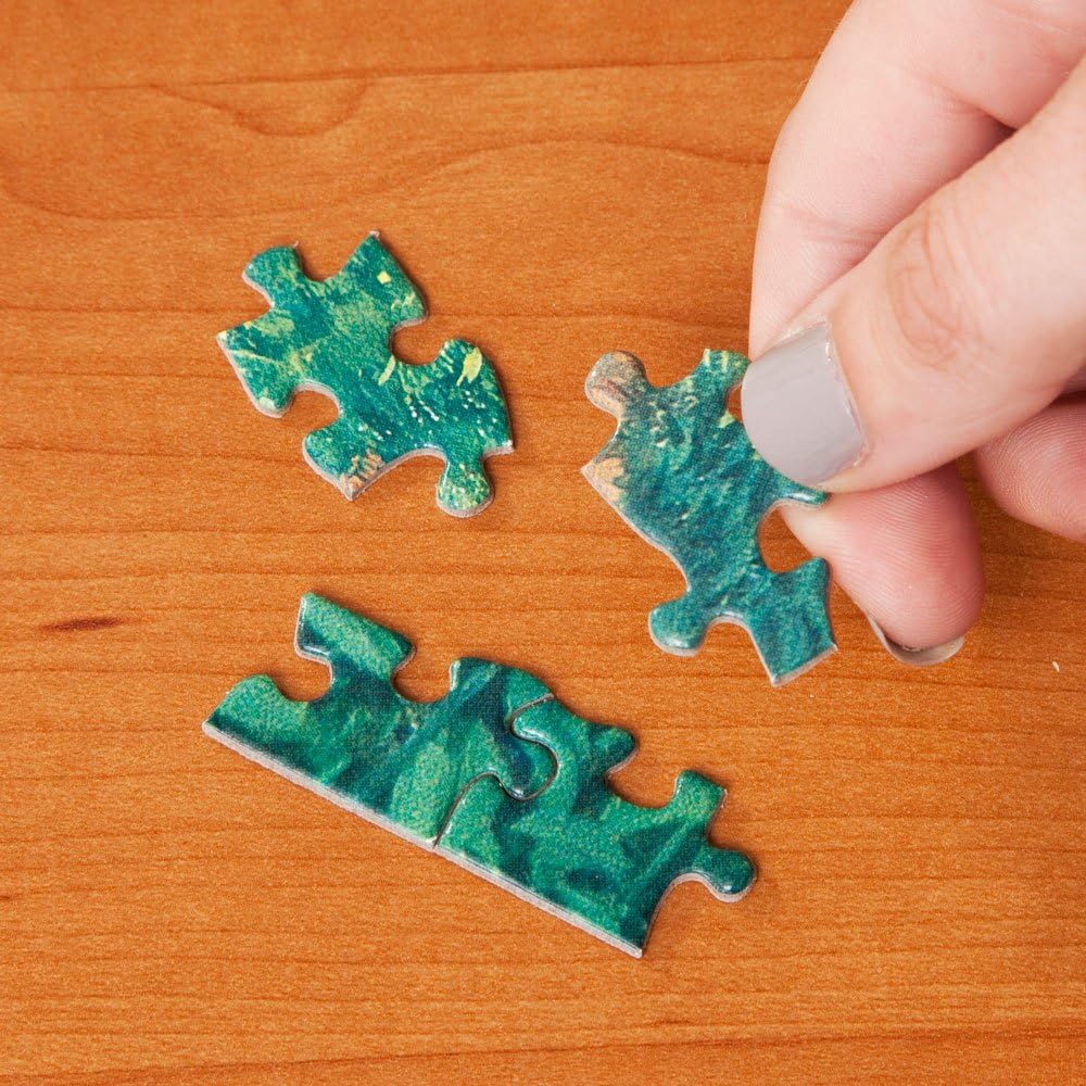 Bits and Pieces – Rompecabezas de 1000 piezas para adultos de 20 x 27 pulgadas – Visita del Gran Concurso de Calabazas – Rompecabezas de 1000 piezas