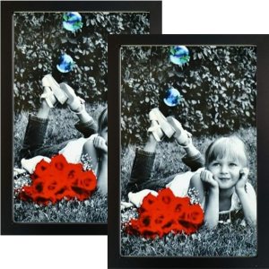 Tasse Verre Portarretratos de 8 x 12 pulgadas (paquete de 2) Cubierta frontal de vidrio de alta definición Muestra un marco de fotos de 8 x 12 Tasse Verre Portarretratos de 8 x 12 pulgadas (paquete de 2) Cubierta frontal de vidrio de alta definición Muestra un marco de fotos de 8 x 12