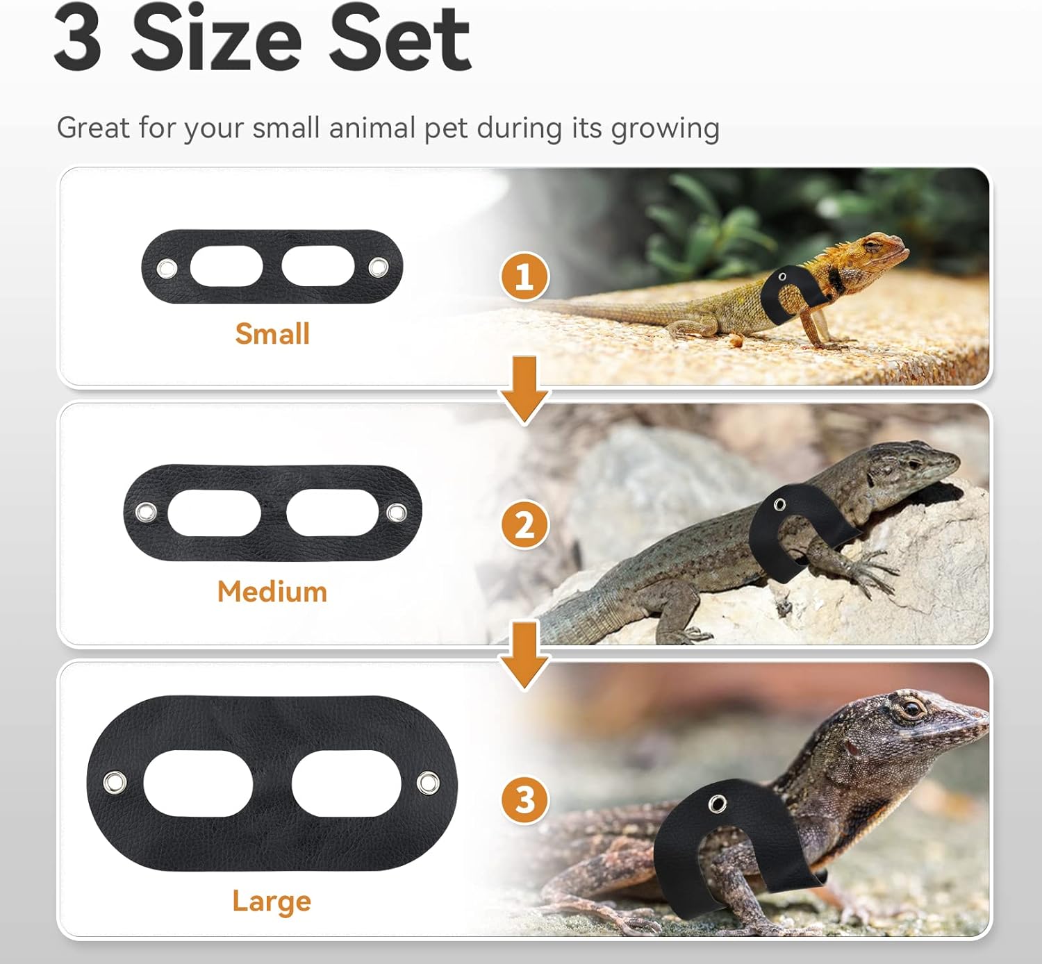 Ullnosoo – Correa de dragón barbudo, accesorios de arnés ajustable para reptiles y lagartos Ullnosoo Dinosaur de cuero suave para caminar