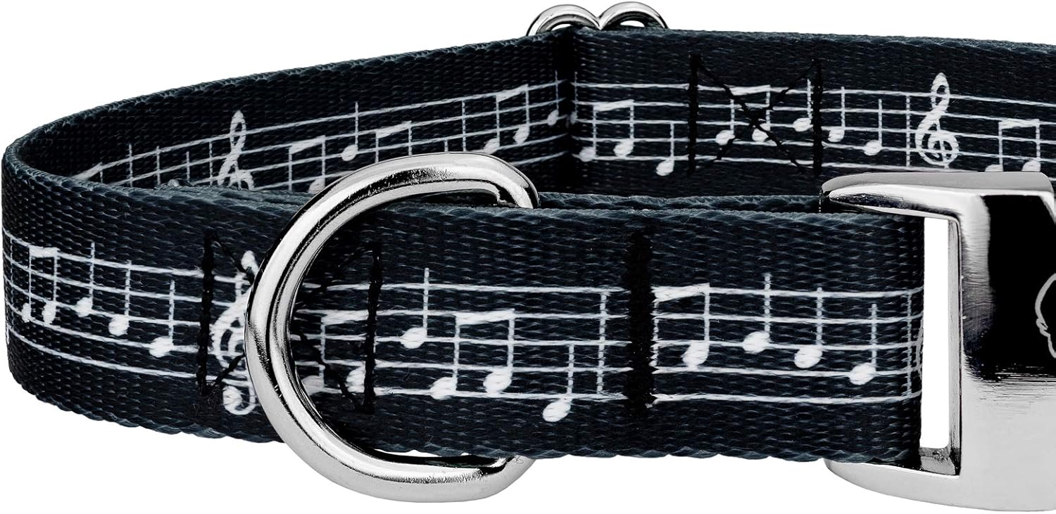 Country Brook Petz – Collar y correa de perro de partituras de primera calidad – Colección Geek Chic con 4 diseños para cualquier Mega fan (1