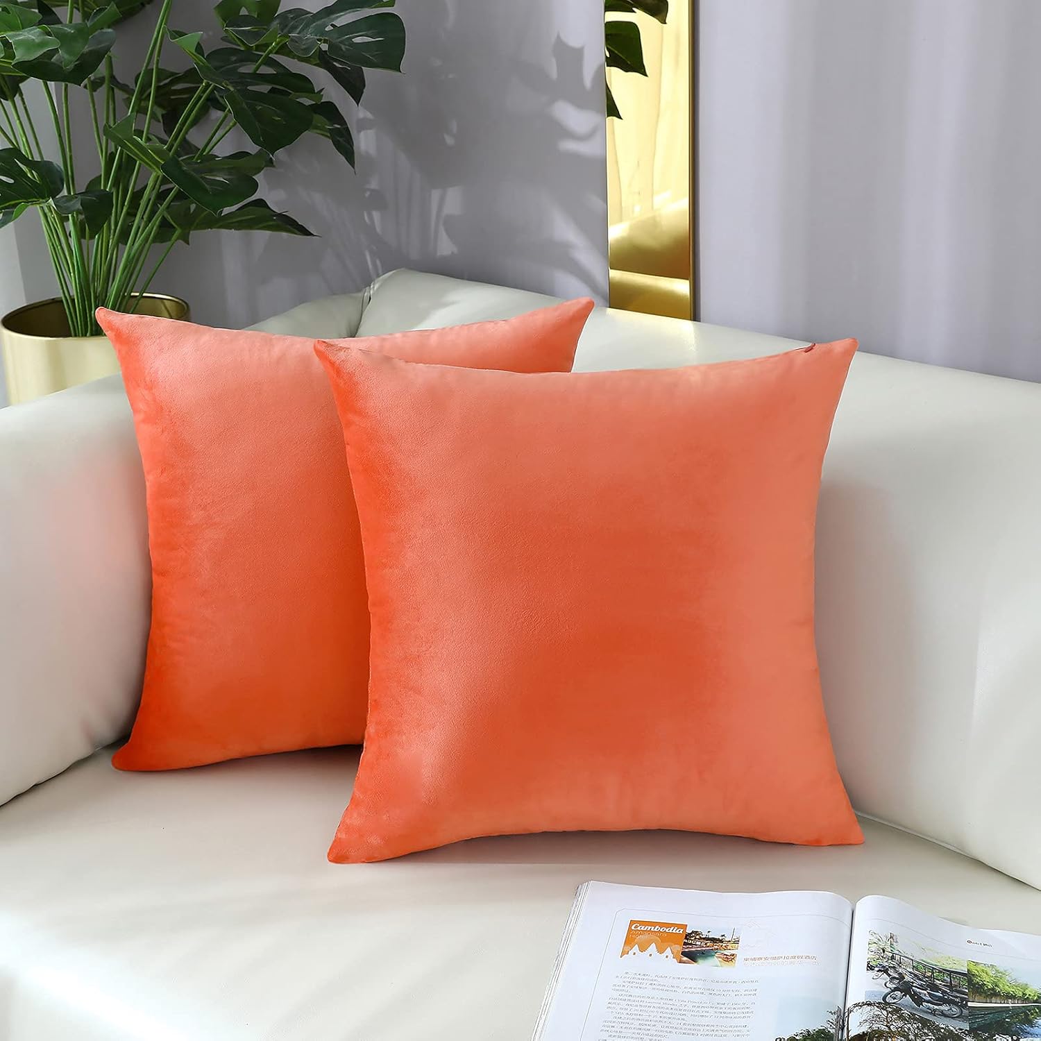 Comfy – Juego de 2 fundas de almohada cuadradas de terciopelo sólido súper suaves, decoración del hogar para sofá, sofá, juego de 2, 18 x 18 pulgadas