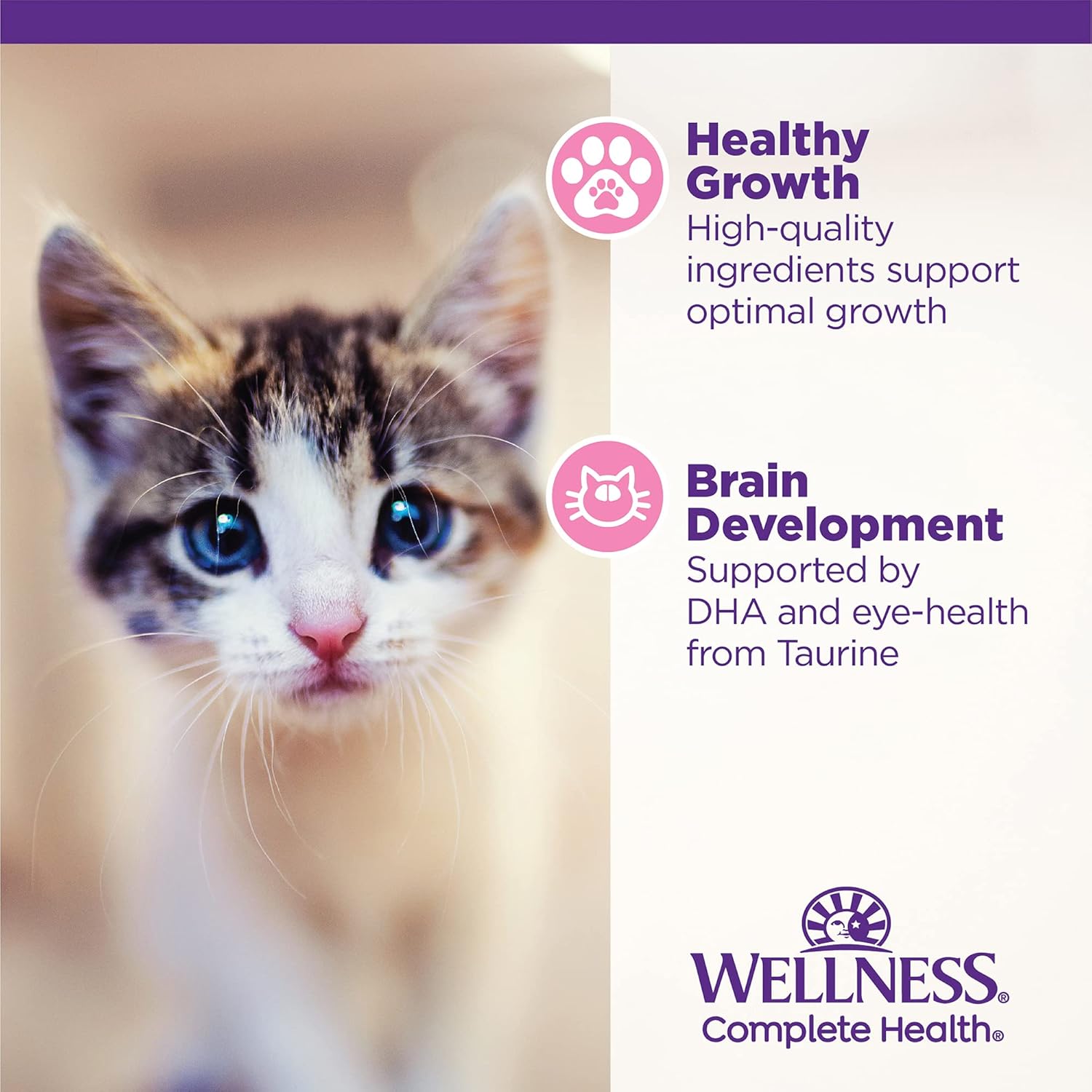 Wellness Complete Health Alimento enlatado húmedo para gatos, sin granos, ingredientes naturales, hecho con carne real, para todas las razas, paté