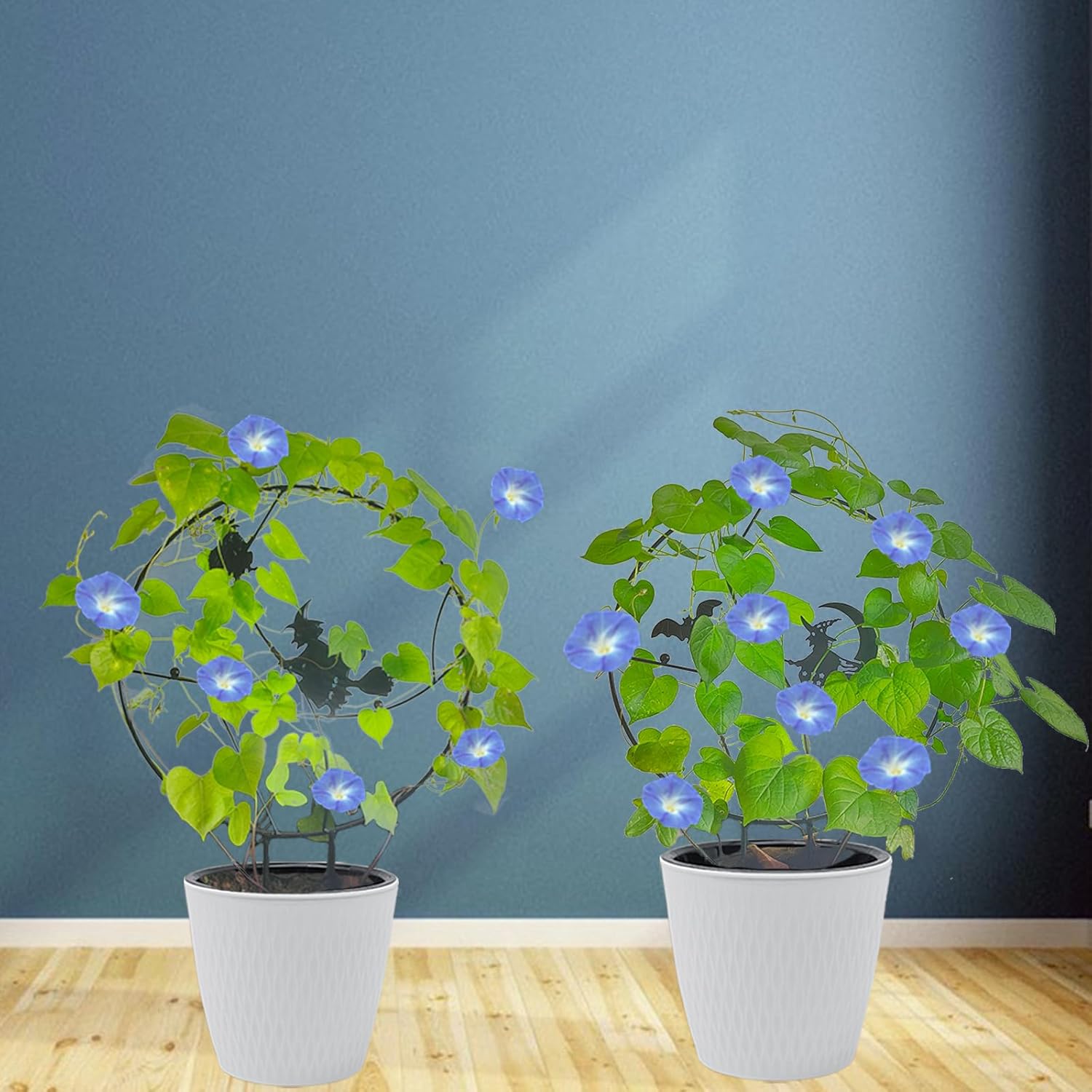 2 piezas de enrejado de jardín para plantas trepadoras, kit de bruja de Halloween, diseño especial, enrejado mediano de 16.3 pulgadas para plantas
