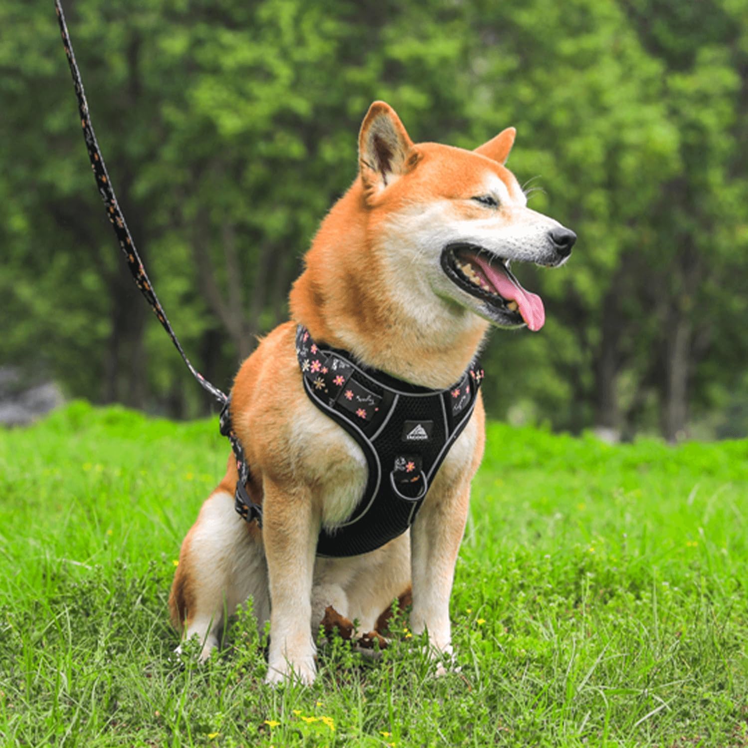 Juego de arnés y correa para perro, chaleco reflectante transpirable ajustable para perros pequeños, medianos, grandes y extra grandes para entrenar