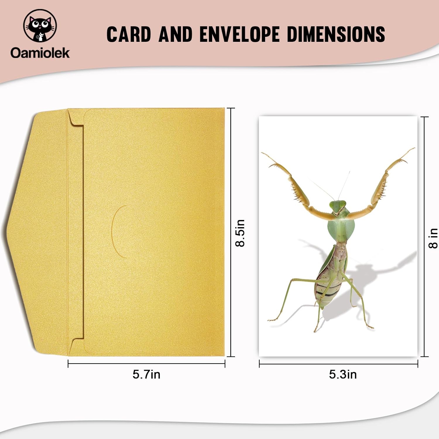 Divertida tarjeta de felicitación de mantis rezando, tarjeta de cumpleaños con arte de Mantis con cable, tarjeta de insectos para niños, amigos,