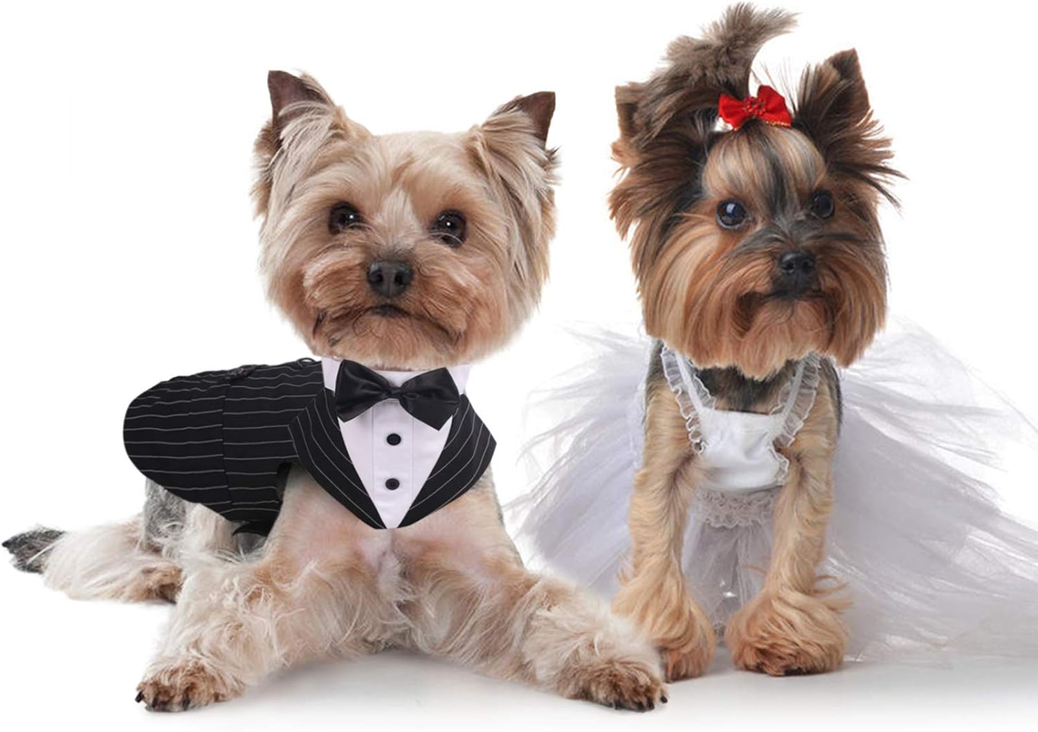 IDOMIK Traje de esmoquin para perros pequeños, medianos y grandes, traje formal de esmoquin para perro con collar de corbatín desmontable y bufanda