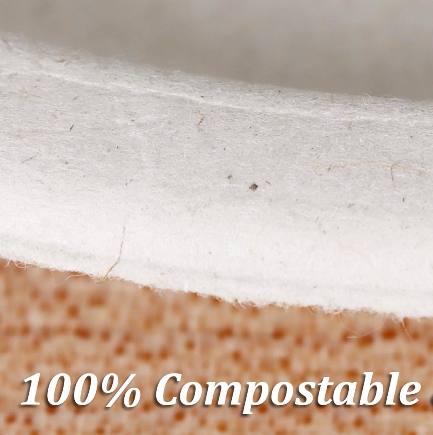 ECORIYO Platos compostables de 7 pulgadas, paquete de 125 platos biodegradables y platos de papel desechables, platos de papel resistentes de caña