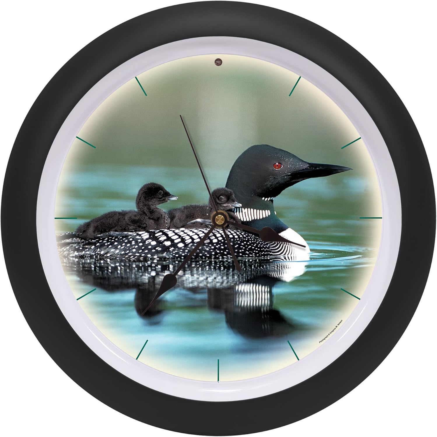 Mark Feldstein & Associates Call of The Loon Artwork – Reloj de pared con sonido negro mate de 13 pulgadas
